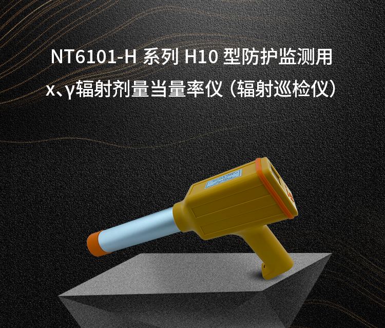 H10.png